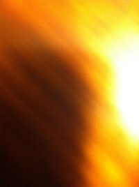 IMG_4217.jpg
