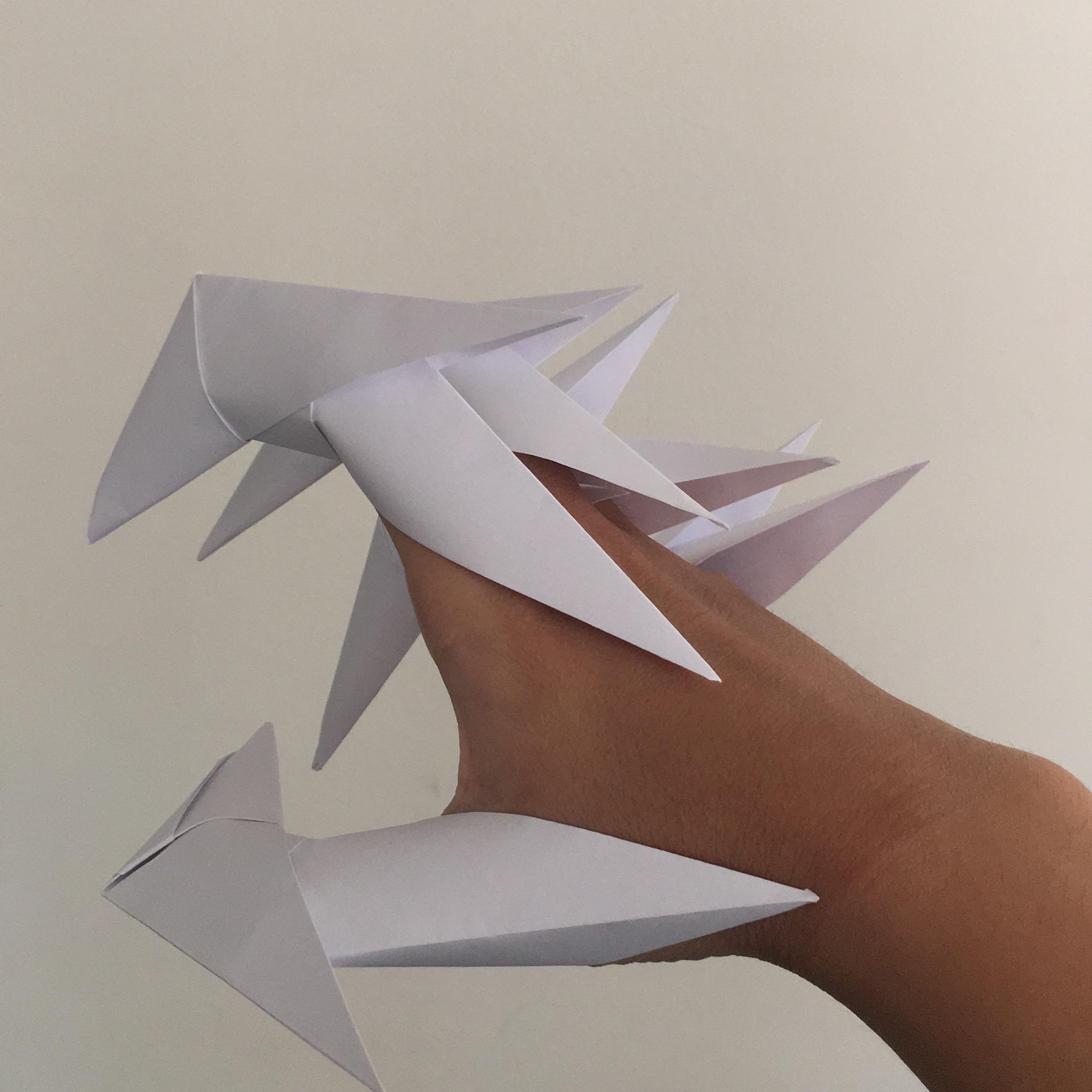 おりがみ Kaoriko Kuge S Blog Fci