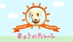 今日のわんこ