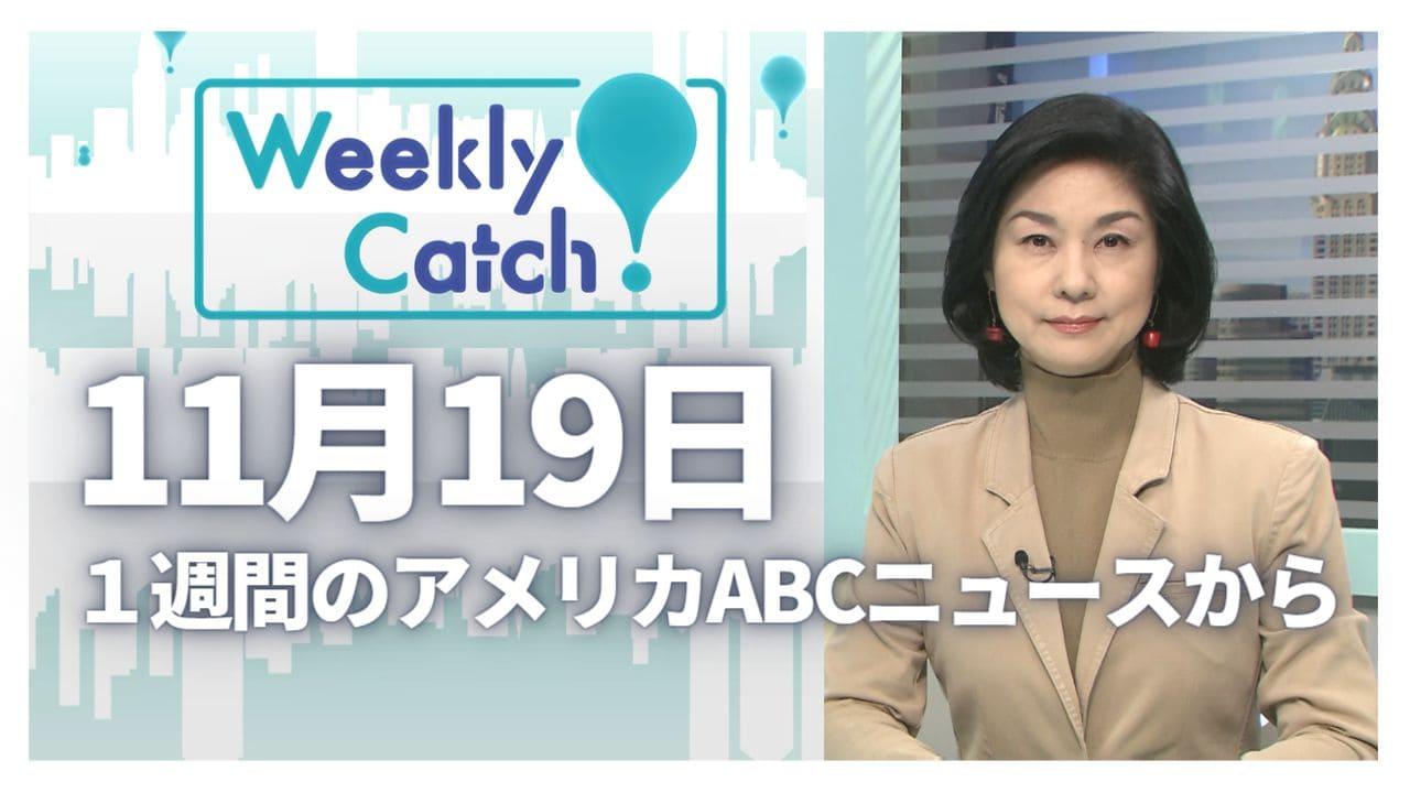 11月19日 Weekly Catch!