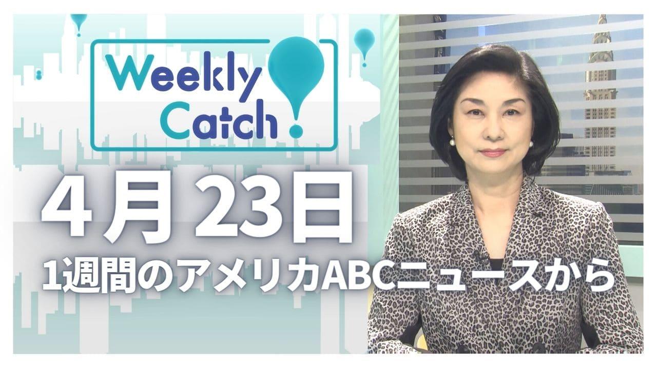4月23日  Weekly Catch!