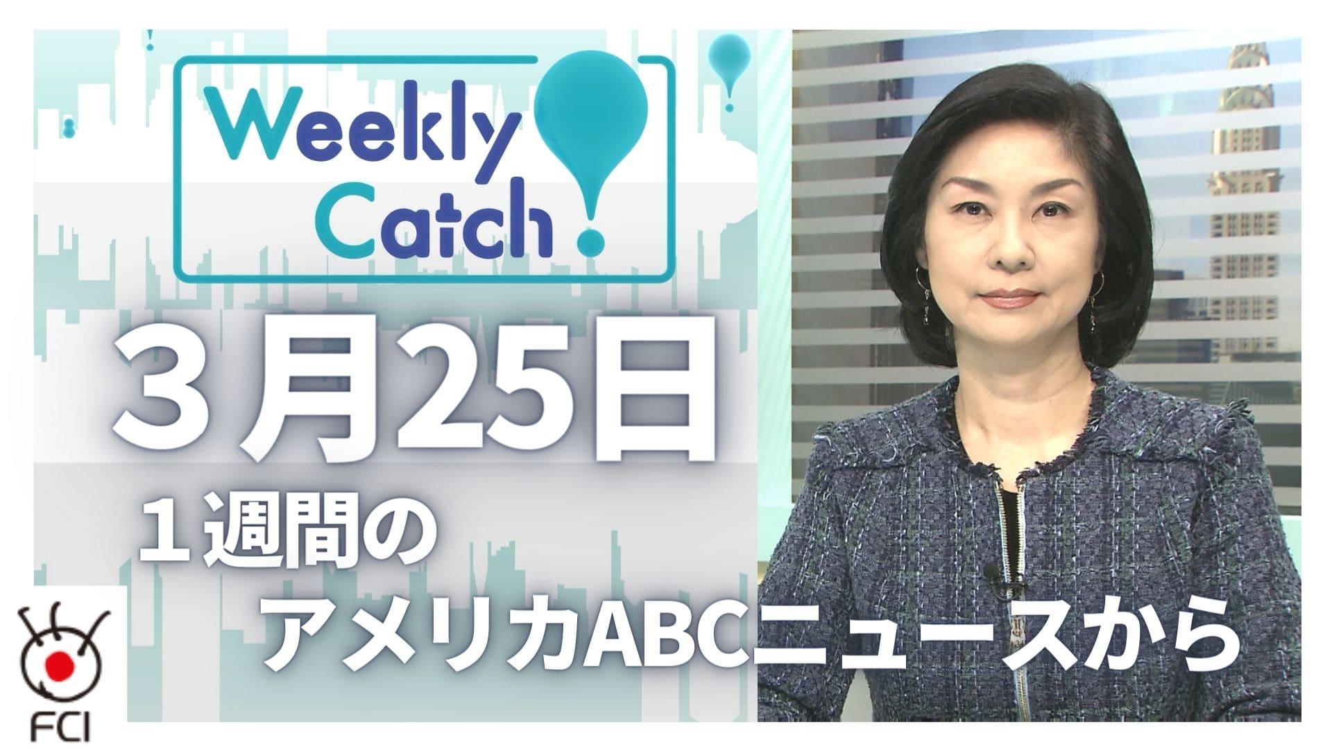 3月25日 Weekly Catch!