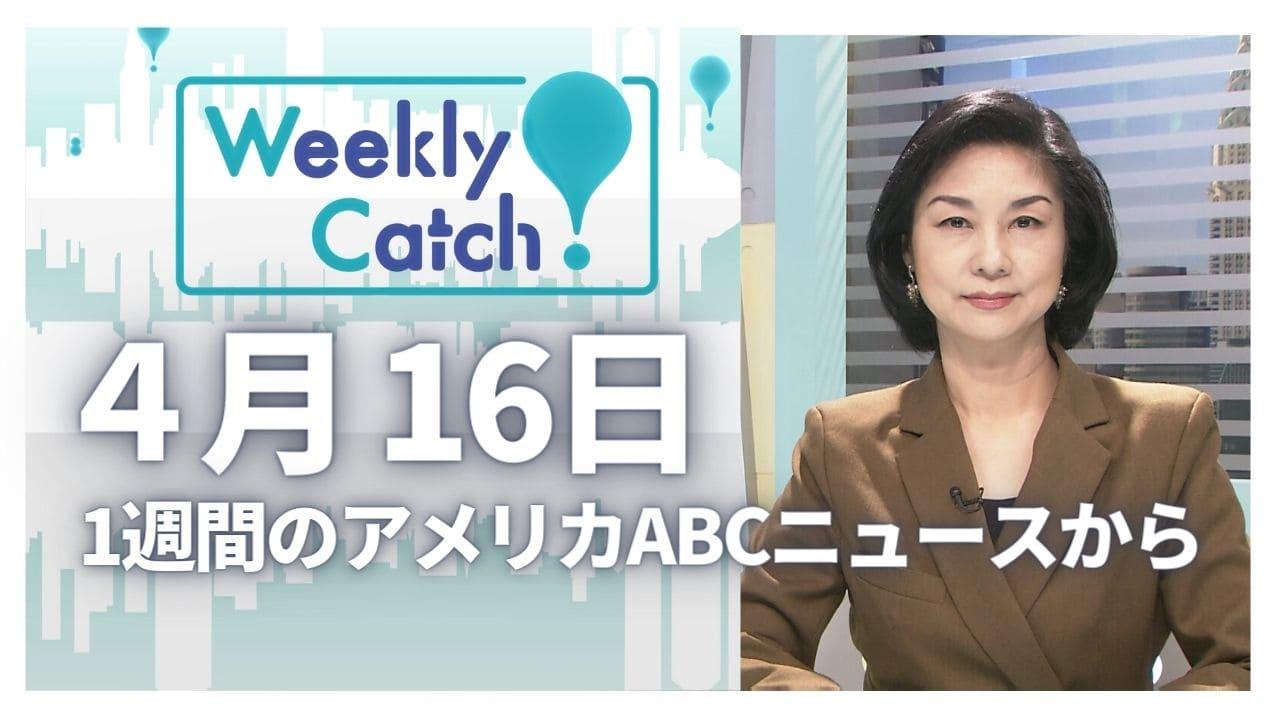 ４月16日 Weekly Catch!