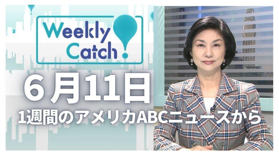 6月11日 Weekly Catch!
