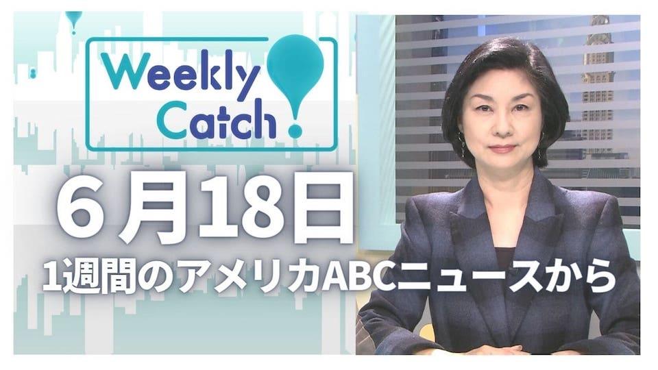 6月18日 Weekly Catch!