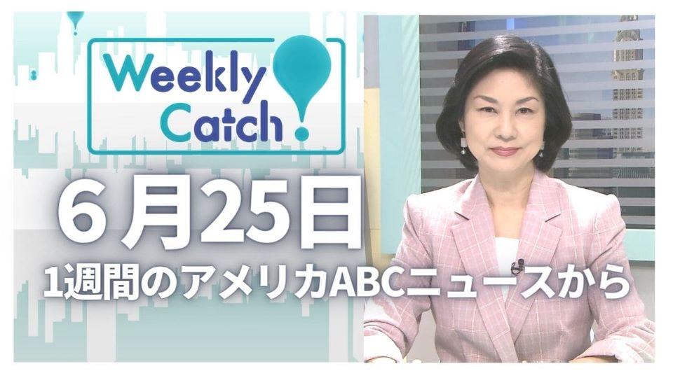6月25日 Weekly Catch!