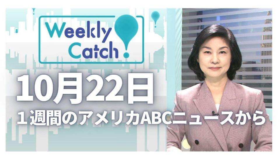 10月22日 Weekly Catch!