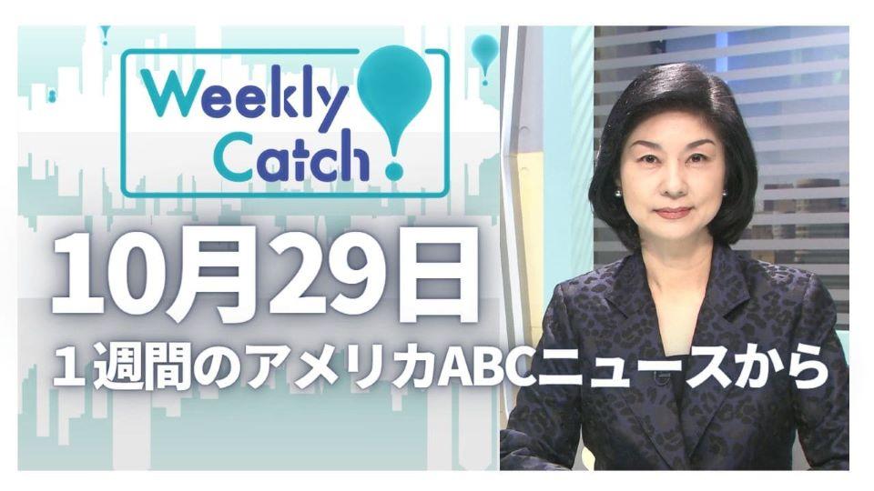 10月29日 Weekly Catch!