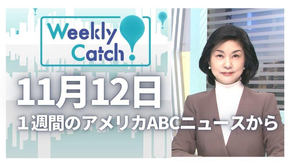 11月12日 Weekly Catch!