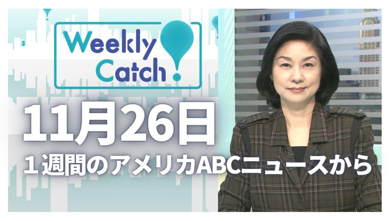 11月26日 Weekly Catch!