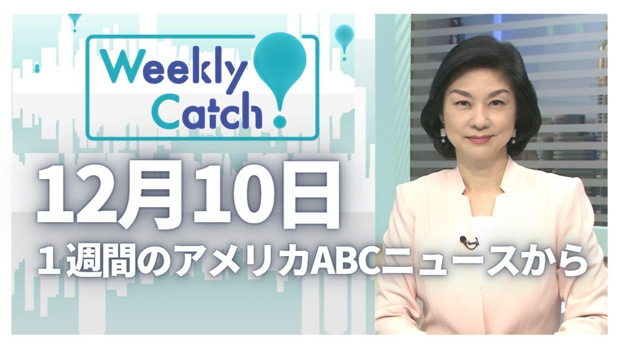 12月10日 Weekly Catch!