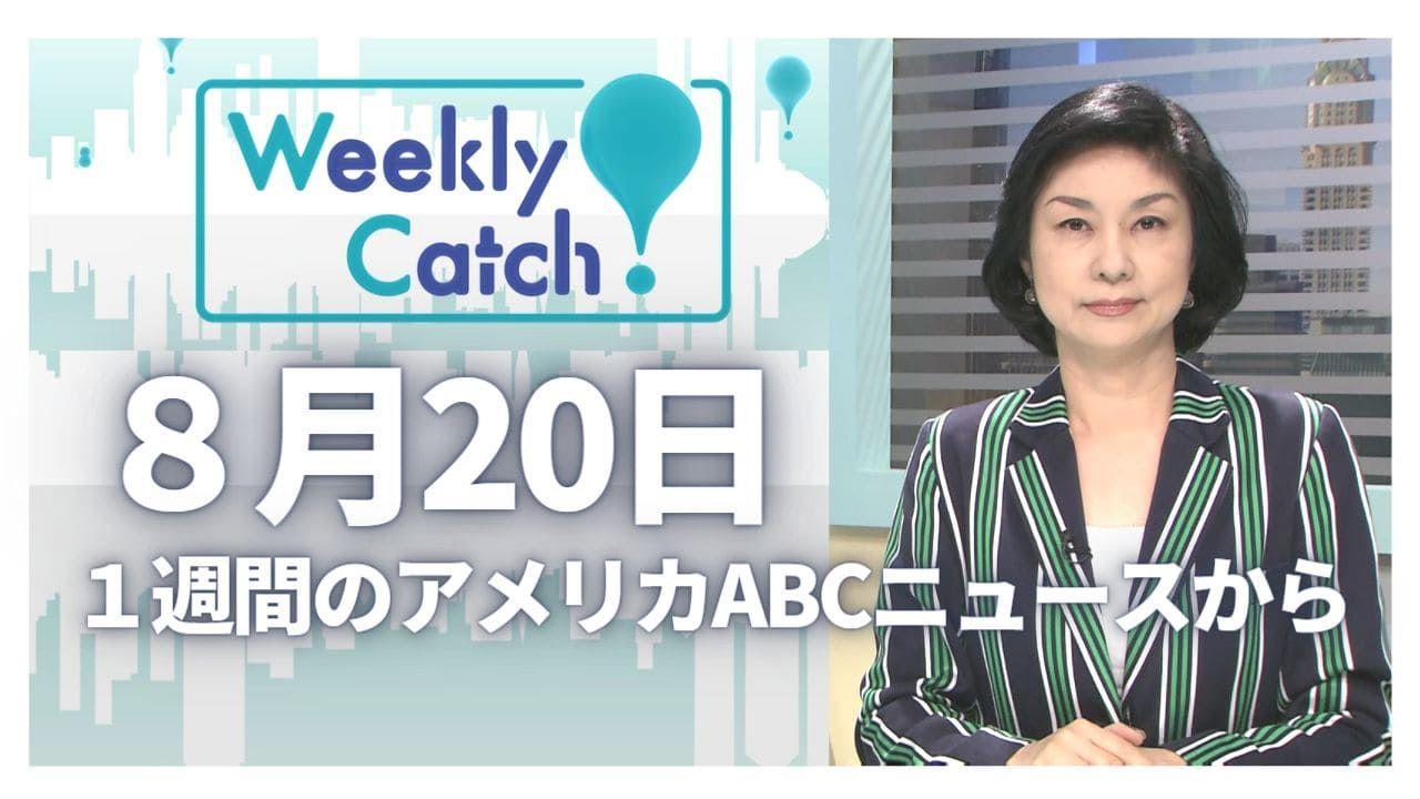8月20日 Weekly Catch!