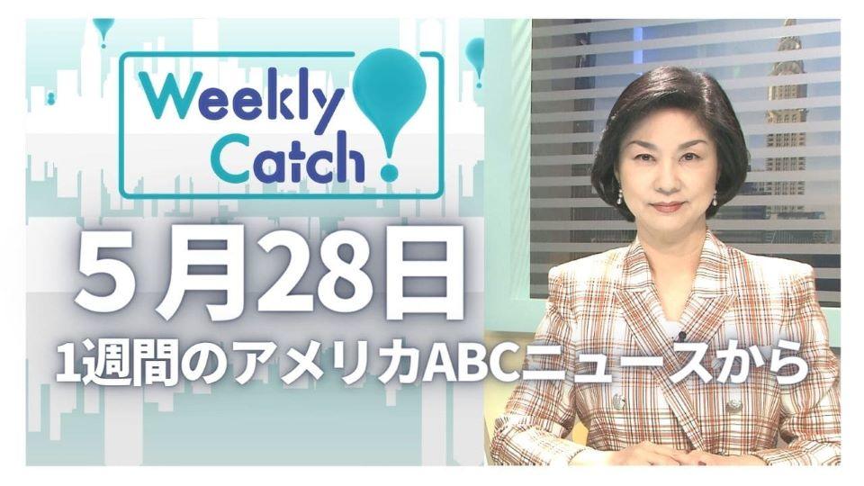 5月28日 Weekly Catch!
