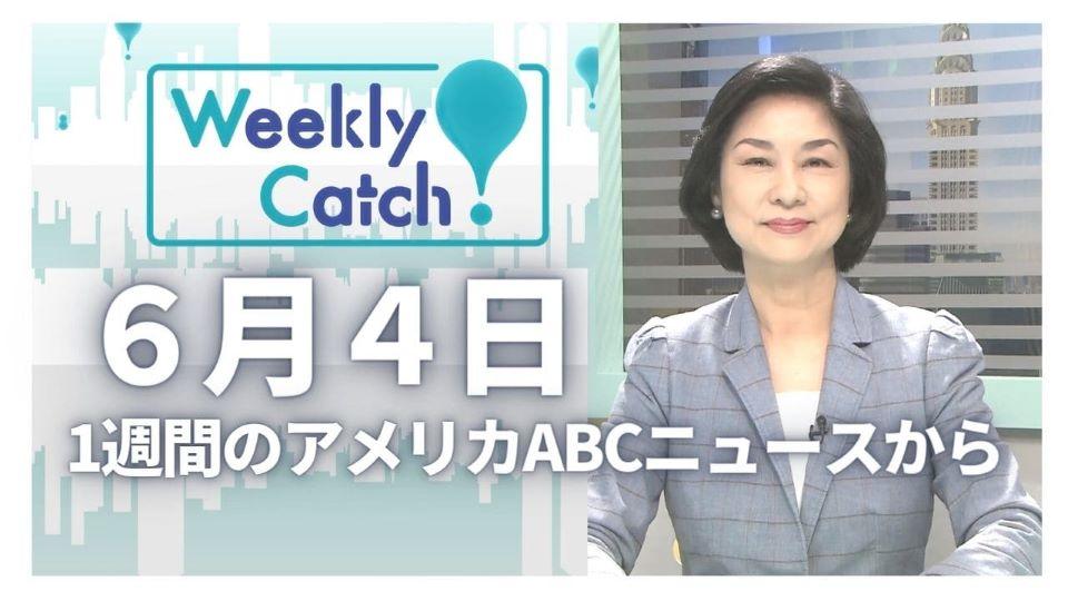 6月4日 Weekly Catch!