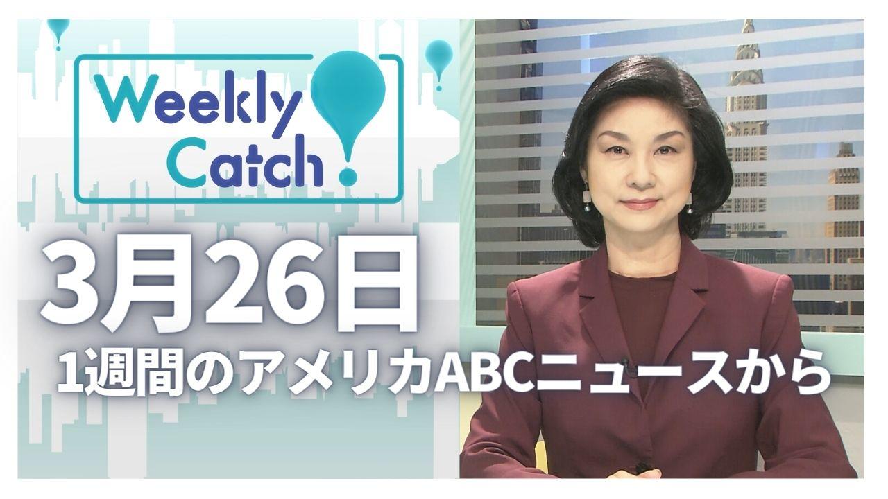 3月26日 Weekly Catch!